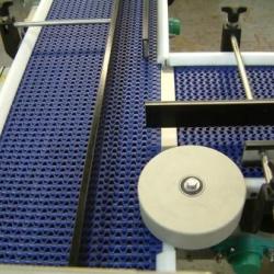 Transfer Conveyor
